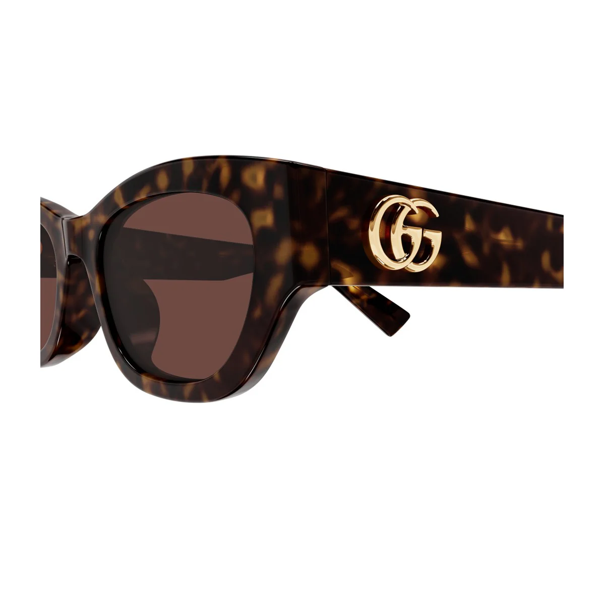 Gucci Gg1954sa Linea Emblem Havana Acetato Riciclato Sunglasses