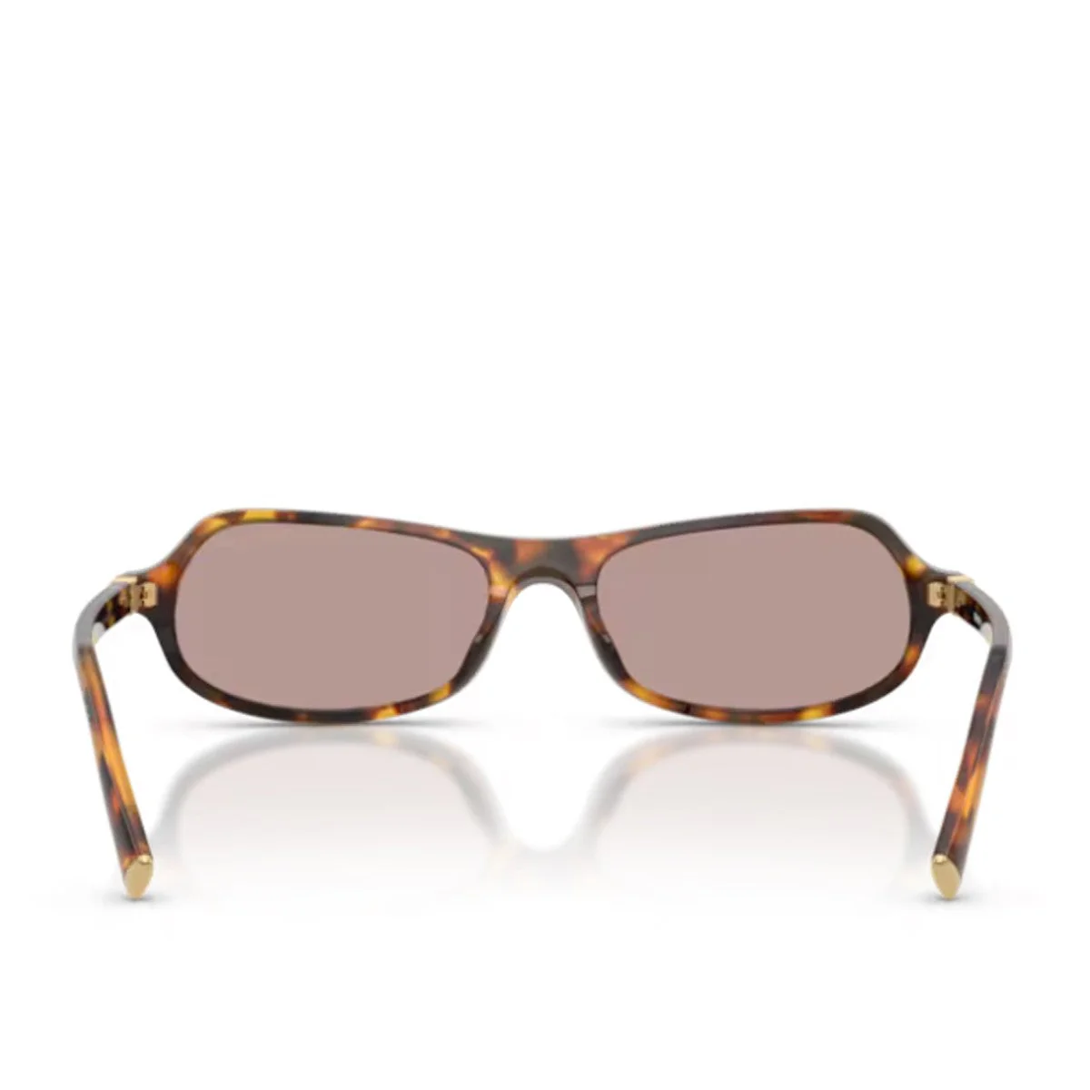 Miu Miu Miu B10su Regard Marrone Acetato Occhiali Da Sole