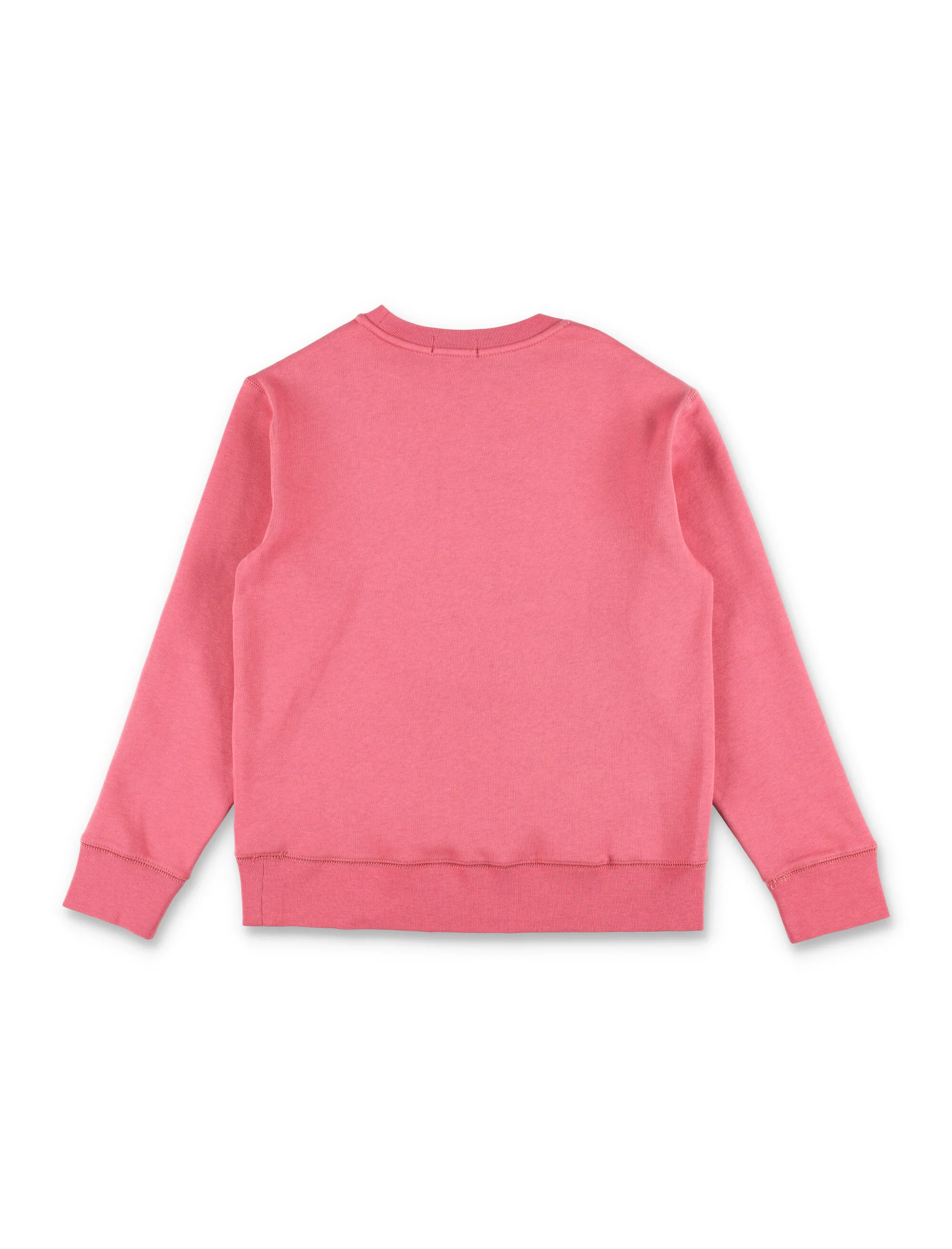Polo Ralph Lauren Kids Bear Sweatshirt Adirondack Berry Cotton