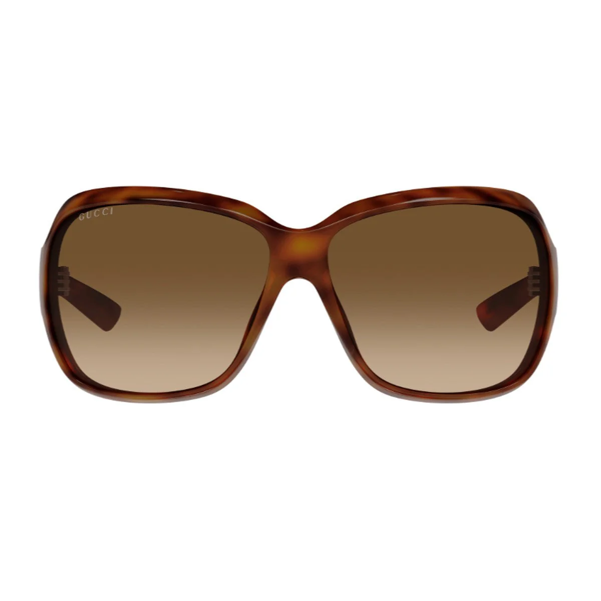 Gucci Gg2176s Linea Institutional Logo Havana Iniettato Sunglasses