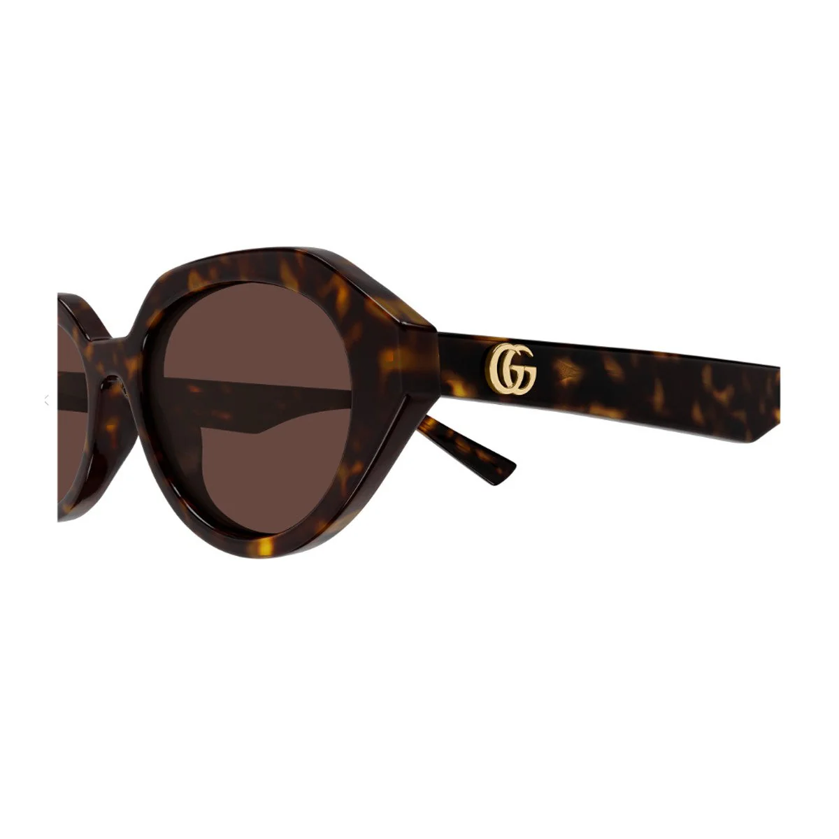 Gucci Gg2178s Linea Emblem Havana Acetato Riciclato Sunglasses