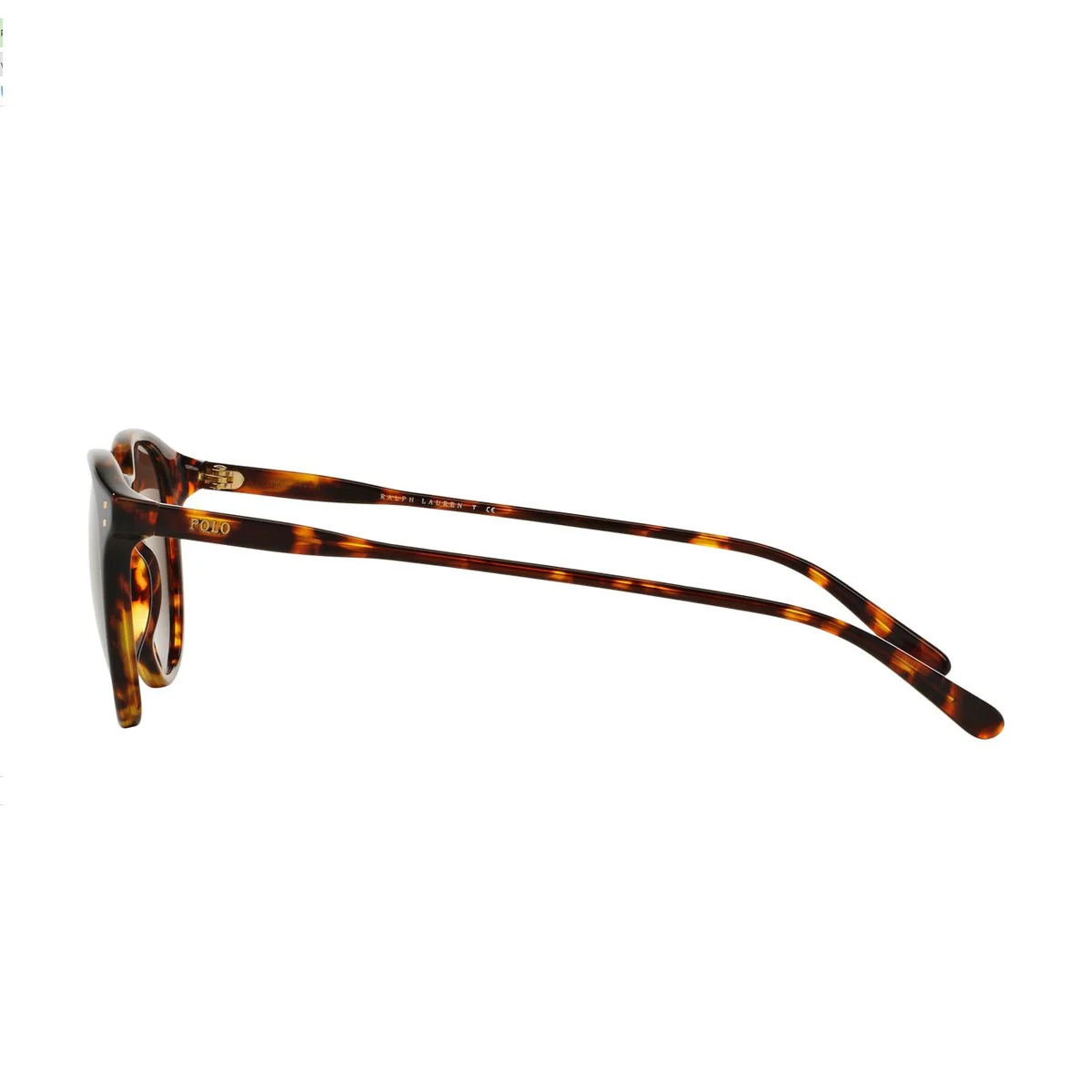 Polo Ralph Lauren Ph4110 Brown Acetato Sunglasses