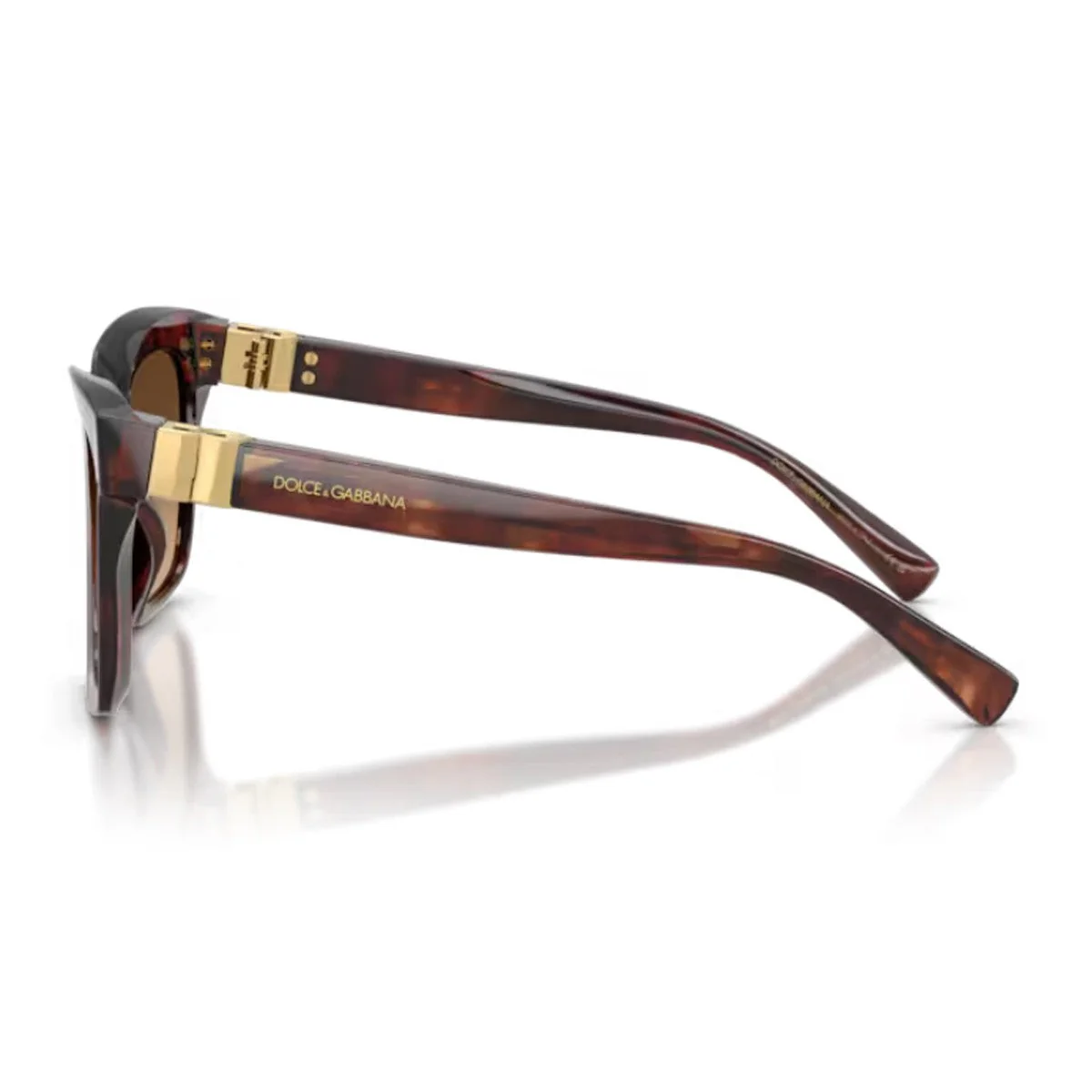 Dolce & Gabbana Dg4498 Dg Hinge Dark Red Havana Acetato Sunglasses