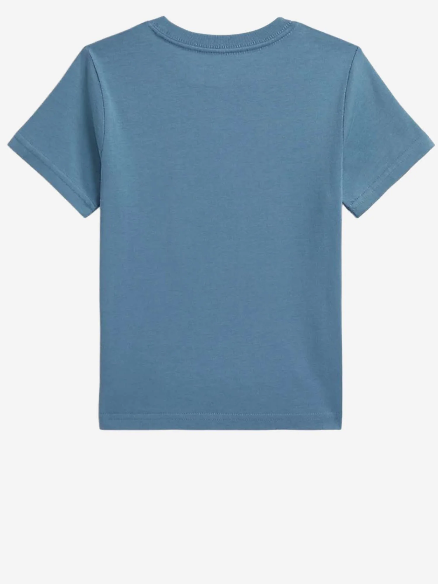 Polo Ralph Lauren T-shirts and Polos Blue Cotone